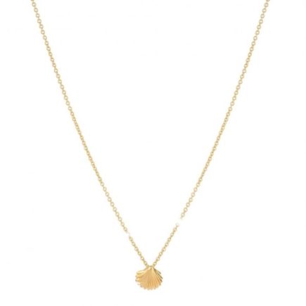 Rebecca Shell (Luck) Necklace